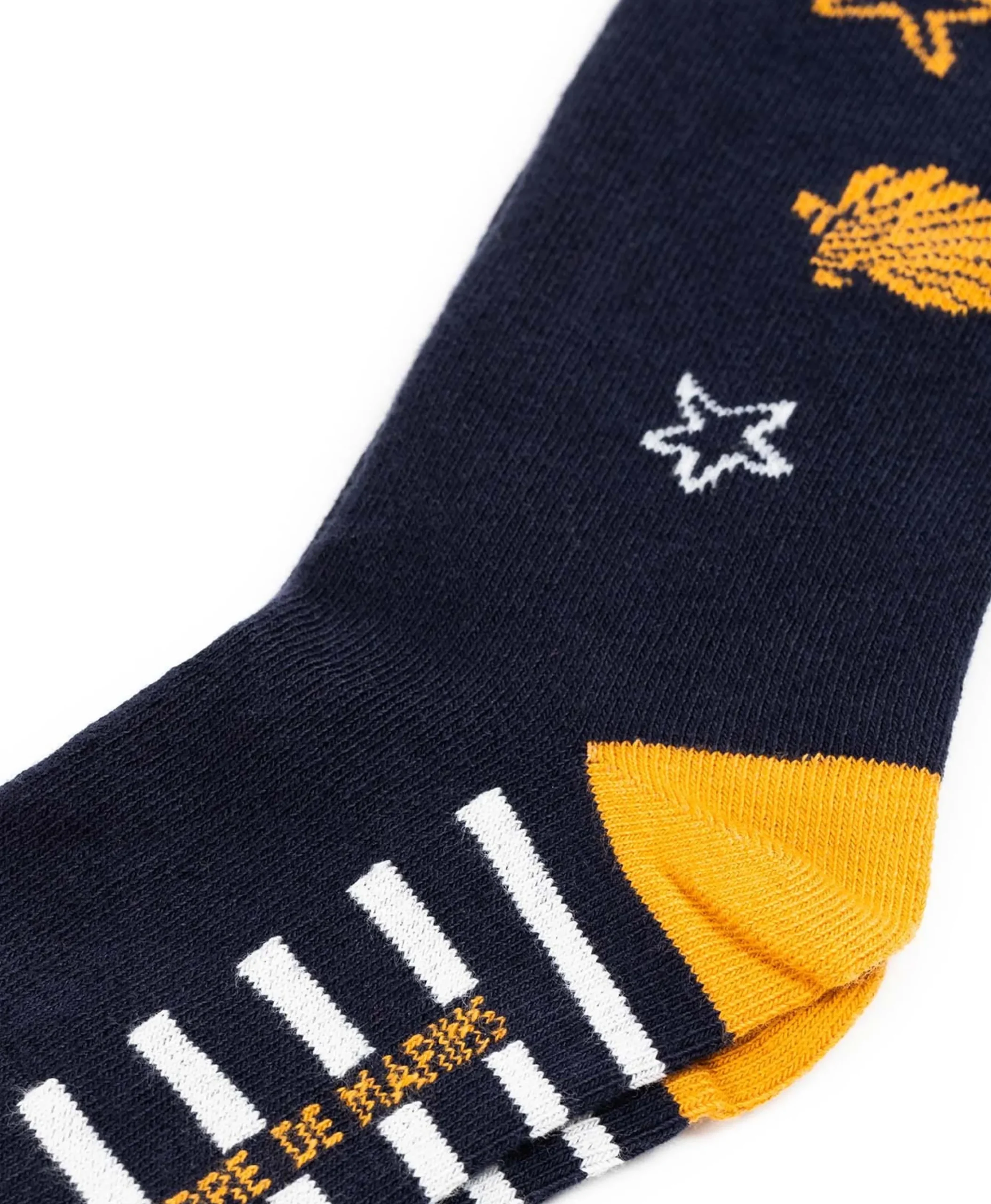 COLLANT MARINE CRIBA