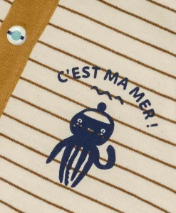 MARINIERE ML FOND GREGE RAYE MARRON TIMMY