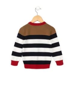 PULL RAYE MULTICOLORE AMFITAS