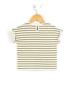 TEE SHIRT MC FOND GREGE RAYE KAKI ASTAZA